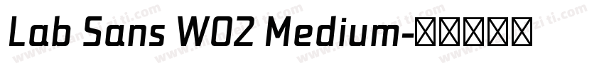 Lab Sans W02 Medium字体转换